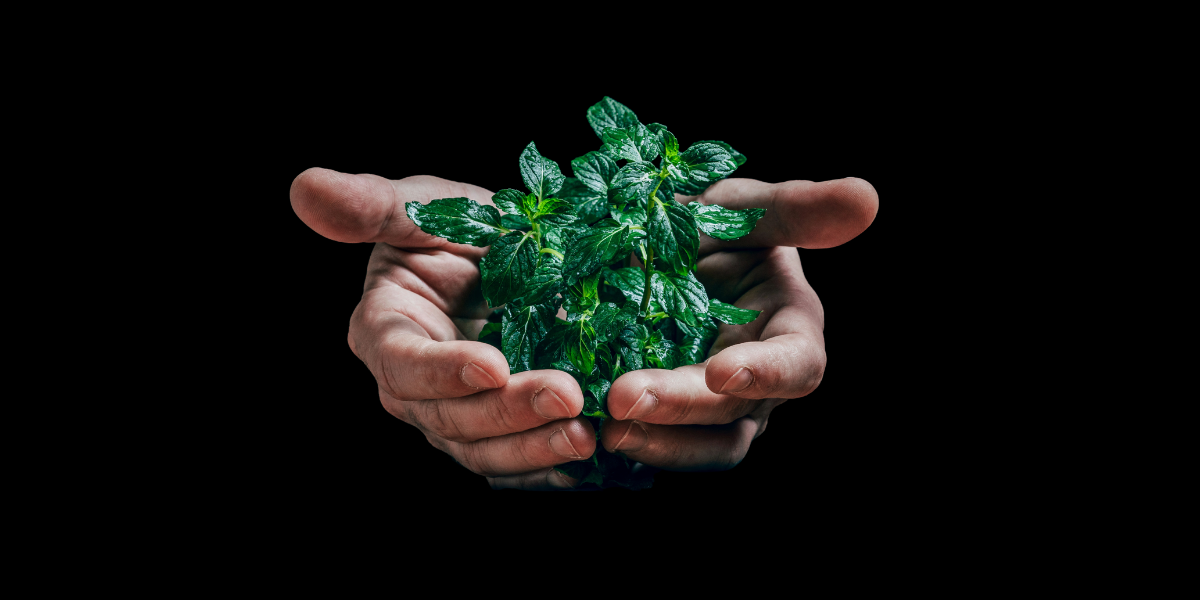 Deep Health Catalyst